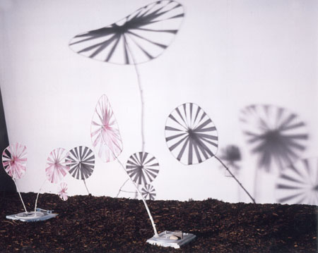 Kinetische und audio-visuelle Installation -Garten-