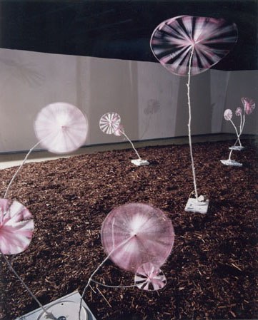 Garten02