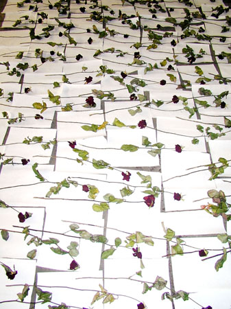 Installation Geschichten