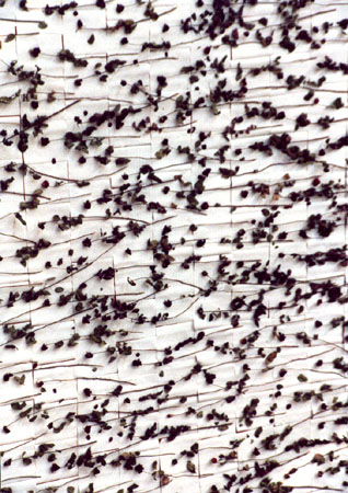 Installation -Geschichten- in der St. Petri Kirche, Lbeck 2000