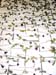 Installation -Geschichten-
