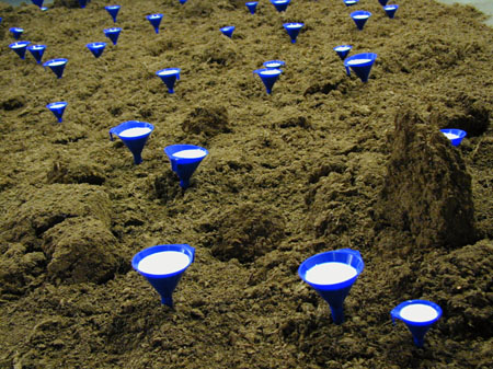 Installation -Milchseen-