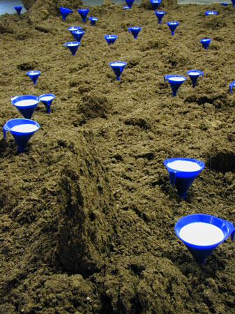 Installation -Milchseen-