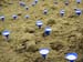 Installation -Milchseen-