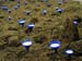 Installation -Milchseen-