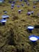Installation -Milchseen-