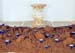Installation -Milchseen-