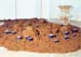 Installation -Milchseen-