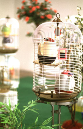 Audio-visuelle Installation -Picknick-