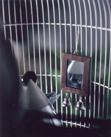 Audio-visuelle Installation -Picknick-