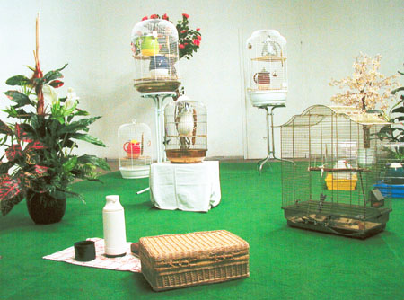 Audio-visuelle Installation -Picknick-