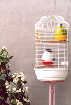 Audio-visuelle Installation -Picknick-