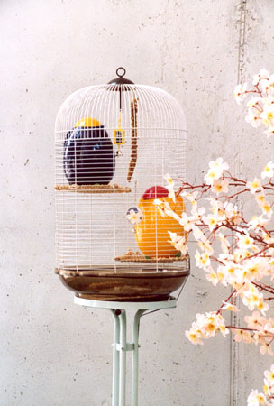 Audio-visuelle Installation -Picknick-
