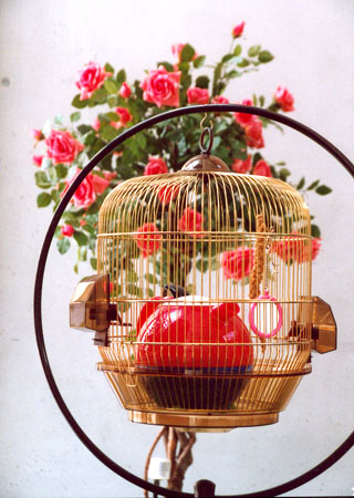 Audio-visuelle Installation -Picknick-