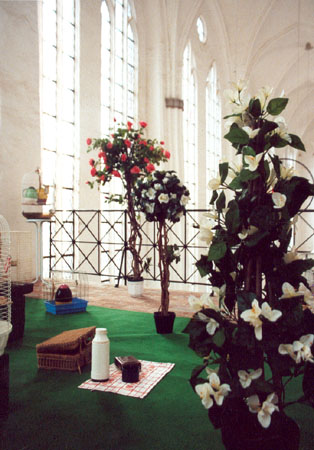 Audio-visuelle Installation -Picknick-