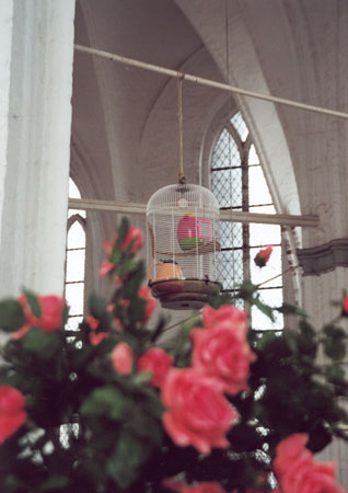 Audio-visuelle Installation -Picknick-