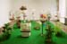 Audio-visuelle Installation -Picknick-