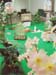 Audio-visuelle Installation -Picknick-