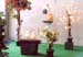 Audio-visuelle Installation -Picknick-