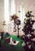 Audio-visuelle Installation -Picknick-