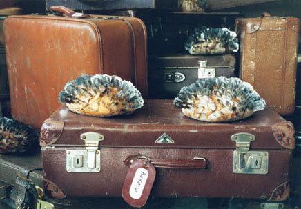 Installation -Breakfast- in der Manege, St. Petersburg 1999