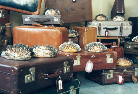 Installation -Breakfast- in der Manege, St. Petersburg 1999