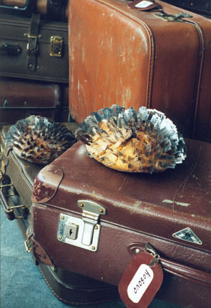 Installation -Breakfast- in der Manege, St. Petersburg 1999