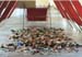 Installation -Reigen-