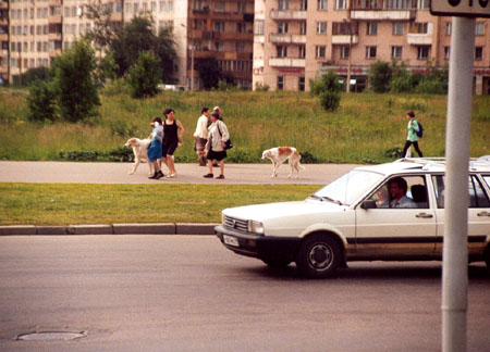 Stadtrundfahrt durch St. Petersburg