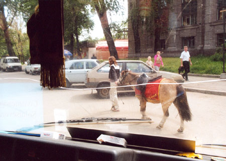 Stadtrundfahrt durch St. Petersburg