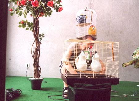 Aufbau der audio-visuellen Installation -Picknick- im Foyer der Firma Rectus