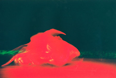 Choreografisches Objekttheater Hunger